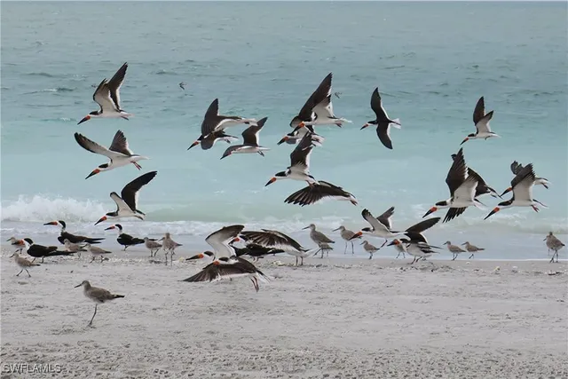 a view of a balcony with an outdoor space