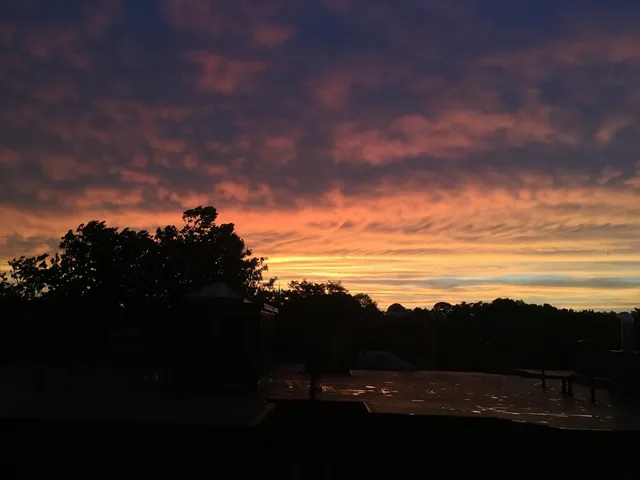 $3,650 | 29 Concord Avenue, Unit 715, Cambridge, MA 02138