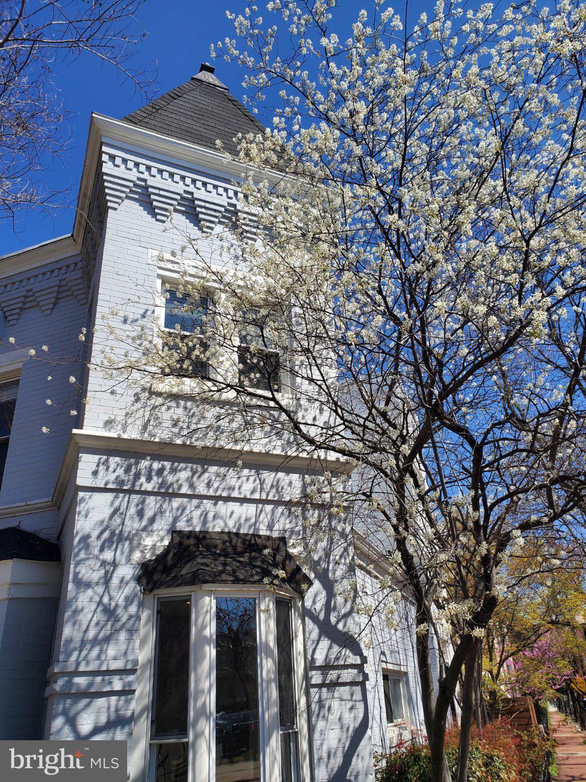 1200 D Street Northeast Washington, DC 20002 - Photo 5 of 35