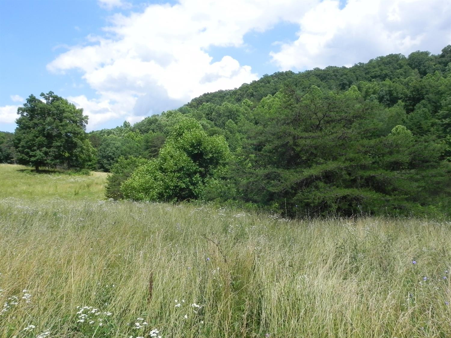 9999 Sasser School Road London, KY 40744 - Photo 38 of 53 Listing Photo