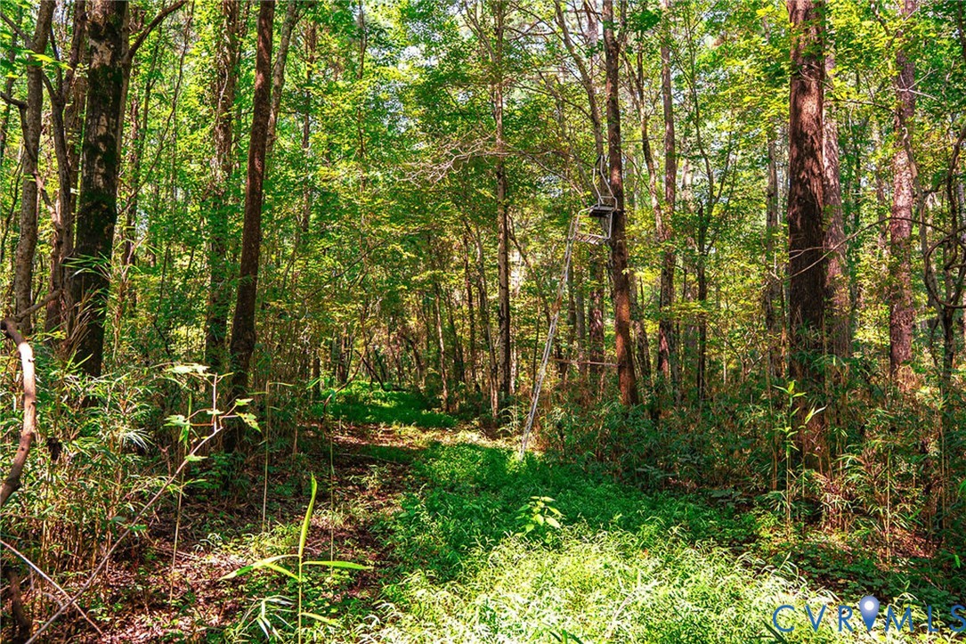 663.8-acres Peach Road Chesapeake, VA 23321 - Photo 38 of 46 Gallery Image 38