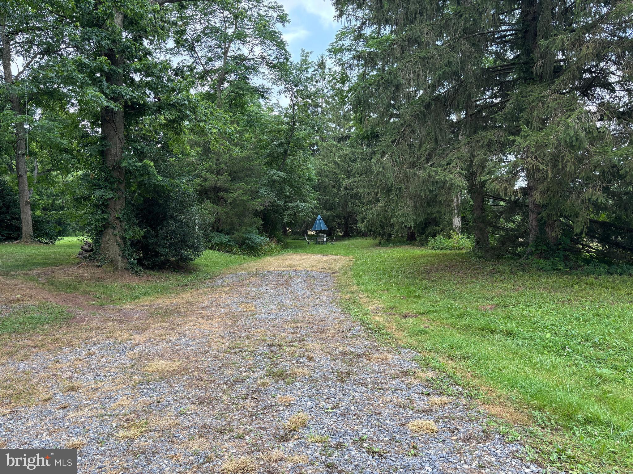560 Basehoar Roth Road Littlestown, PA 17340 - Photo 59 of 145 a view of a trees with a yard