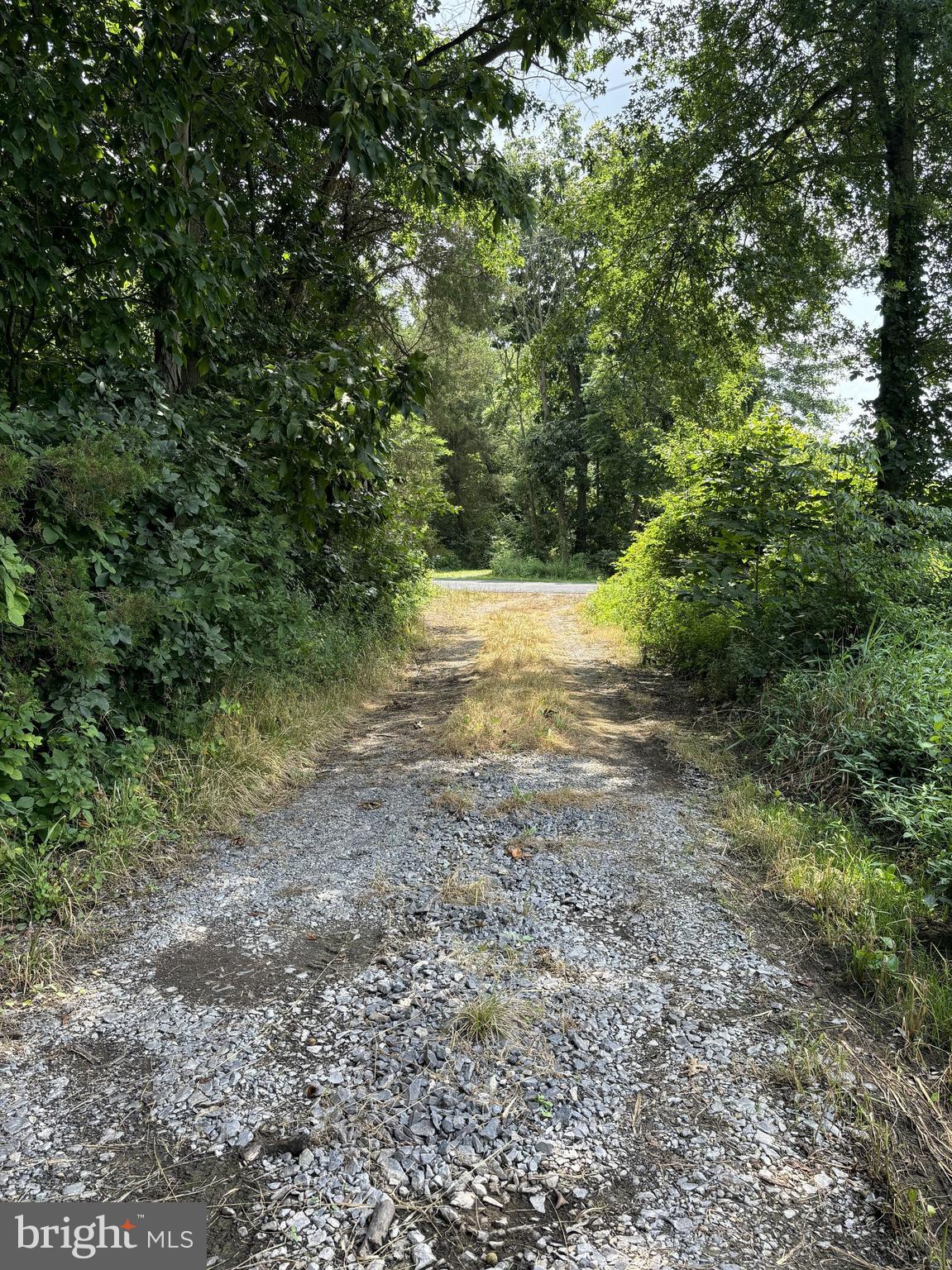 560 Basehoar Roth Road Littlestown, PA 17340 - Photo 90 of 145 a view of a yard with a tree