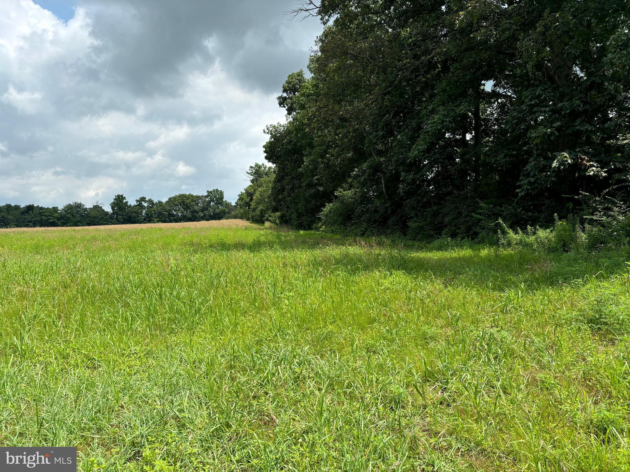560 Basehoar Roth Road Littlestown, PA 17340 - Photo 95 of 145