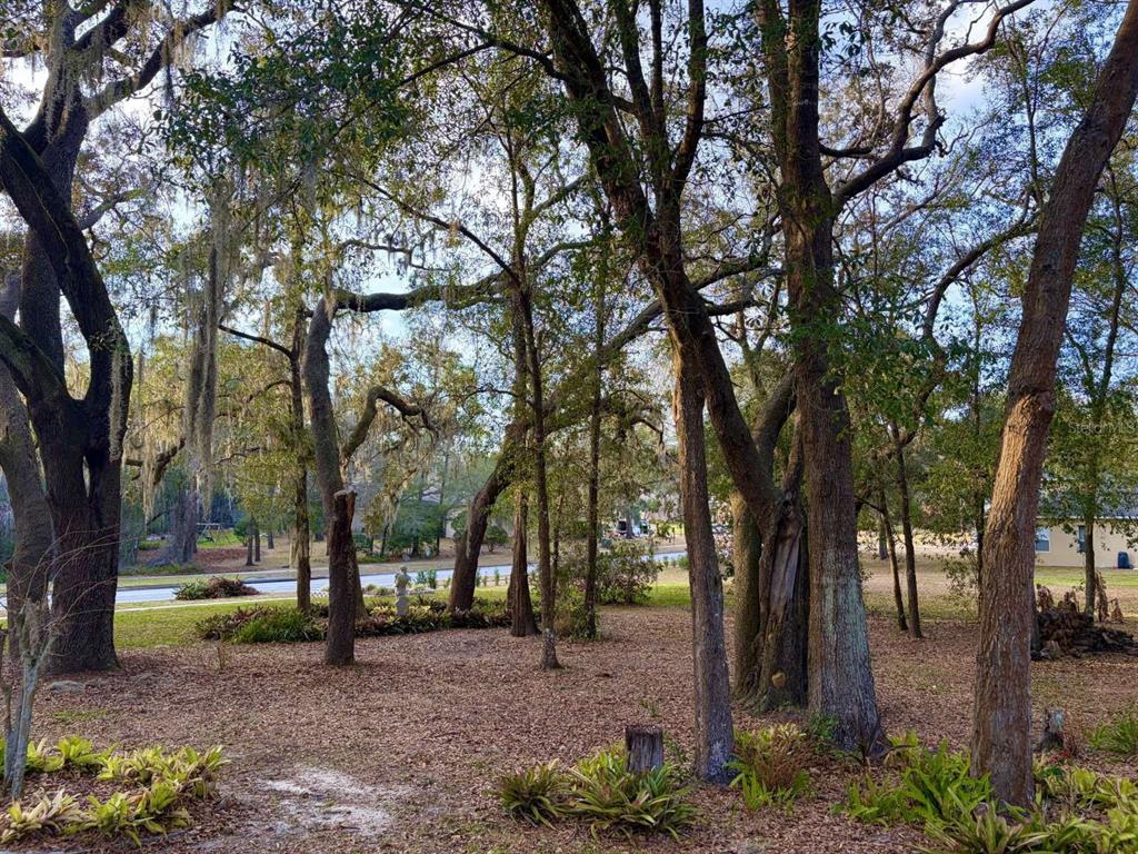 597 Sand Wedge Loop Apopka, FL 32712 - Photo 56 of 71