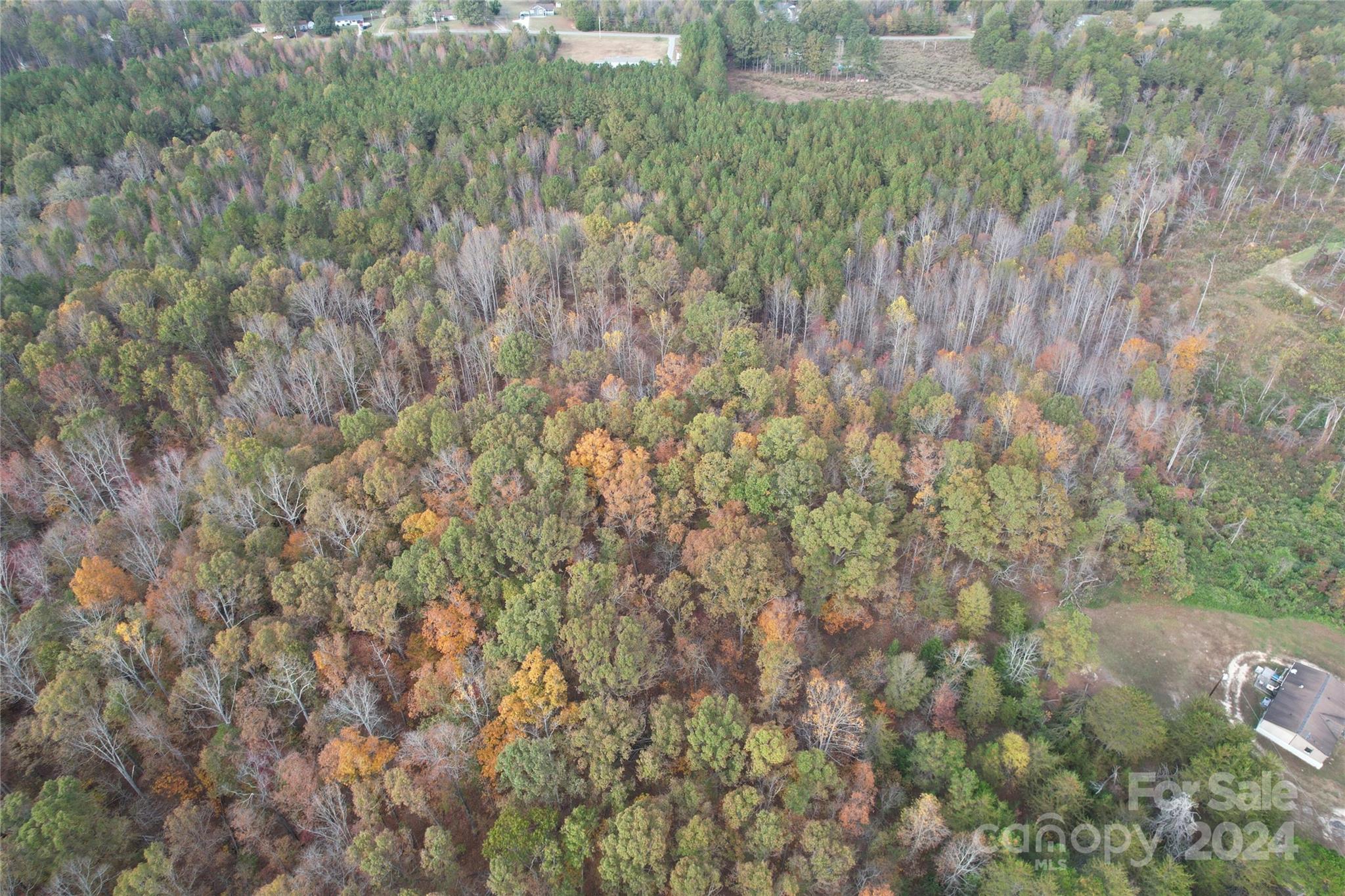 157 Thamon Road Shelby, NC 28150 - Photo 17 of 29