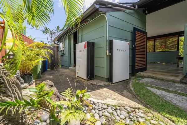 a view of a yard with plants