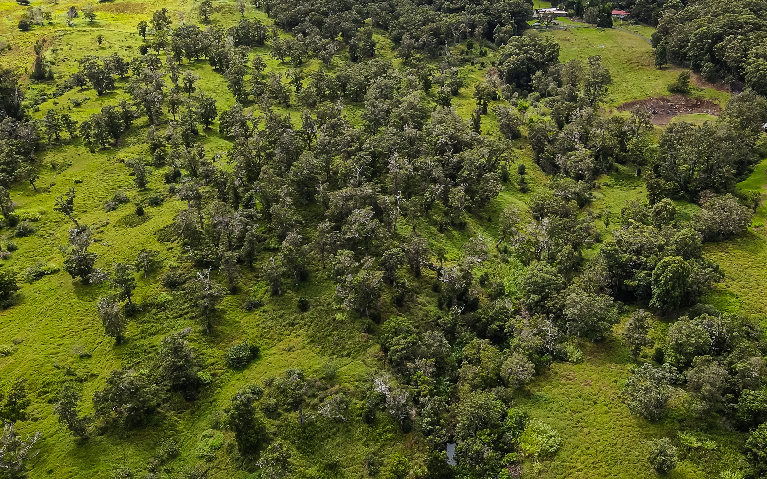 43-1809 Manienie Road Paauilo, HI 96776 - Photo 18 of 19
