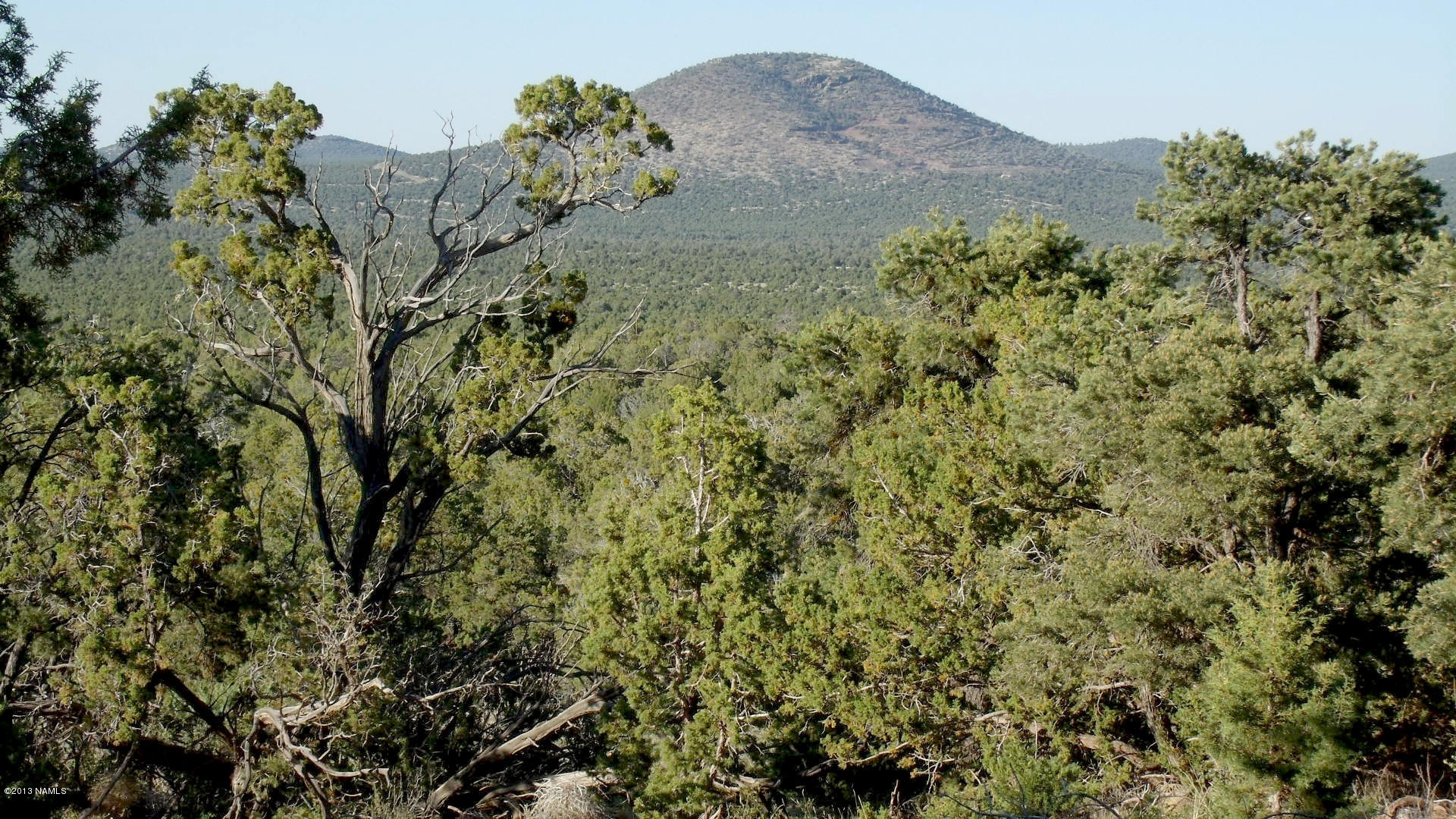 885 West Flushing Quail Road Williams, AZ 86046 - Photo 4 of 6 GEDC0072
