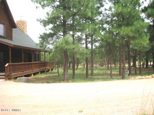 1480 Shade Tree Drive Heber, AZ 85928 - Photo 34 of 57