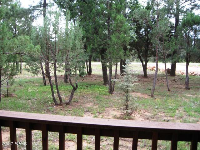 1480 Shade Tree Drive Heber, AZ 85928 - Photo 53 of 57