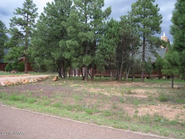 1480 Shade Tree Drive Heber, AZ 85928 - Photo 56 of 57