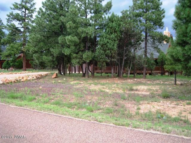 1480 Shade Tree Drive Heber, AZ 85928 - Photo 57 of 57