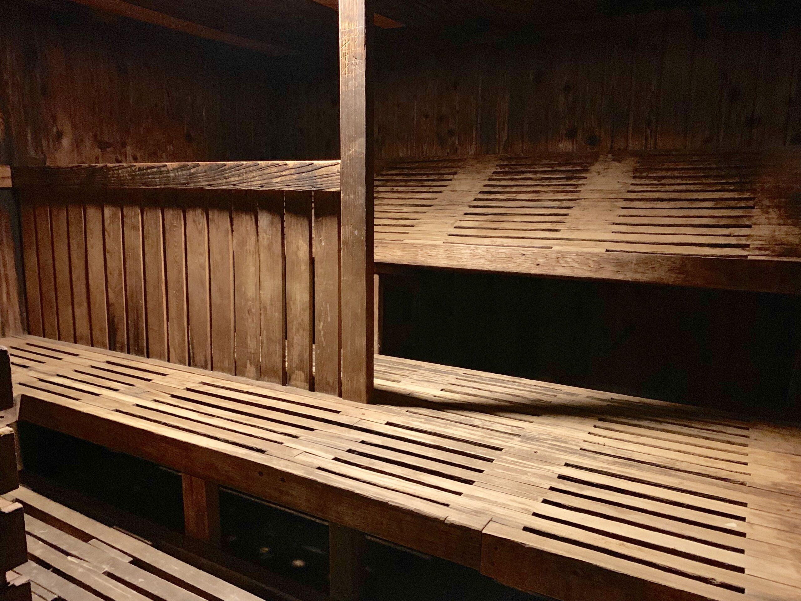 2124 Pauline Boulevard, Unit 205 Ann Arbor, MI 48103 - Photo 27 of 30 Pauline-Sauna-scaled