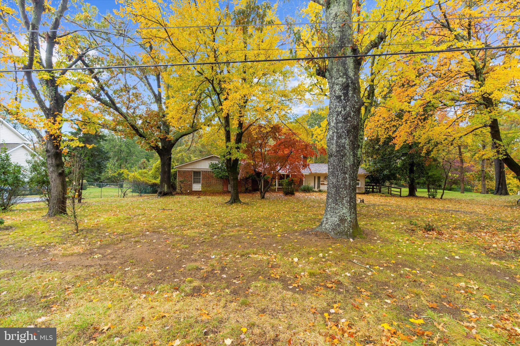 a view of a yard with an trees