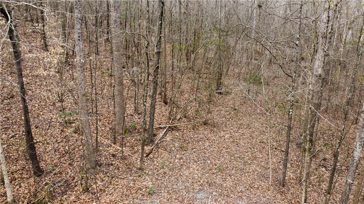 36 A Martin Drive Anderson, SC 29624 - Photo 2 of 6