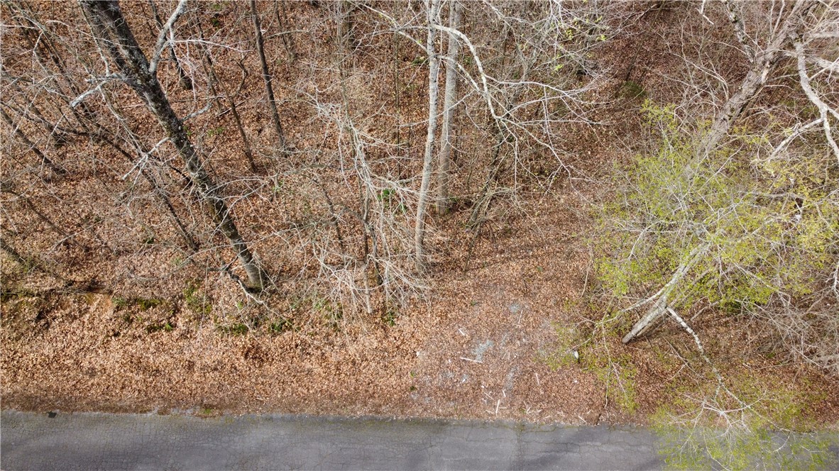 36 A Martin Drive Anderson, SC 29624 - Photo 4 of 6