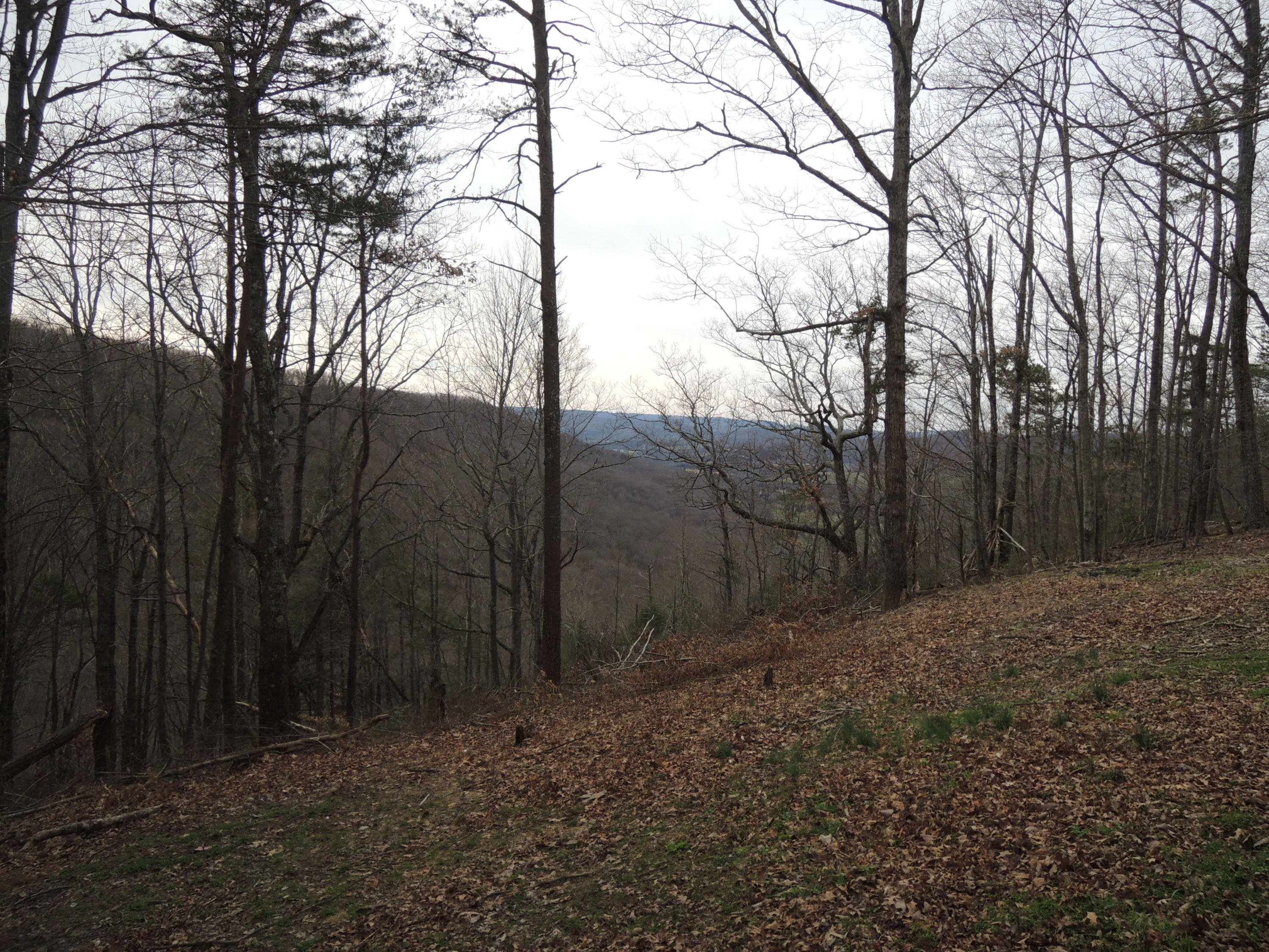 1130 Star Point Road Jamestown, TN 38556 - Photo 6 of 24 Smith