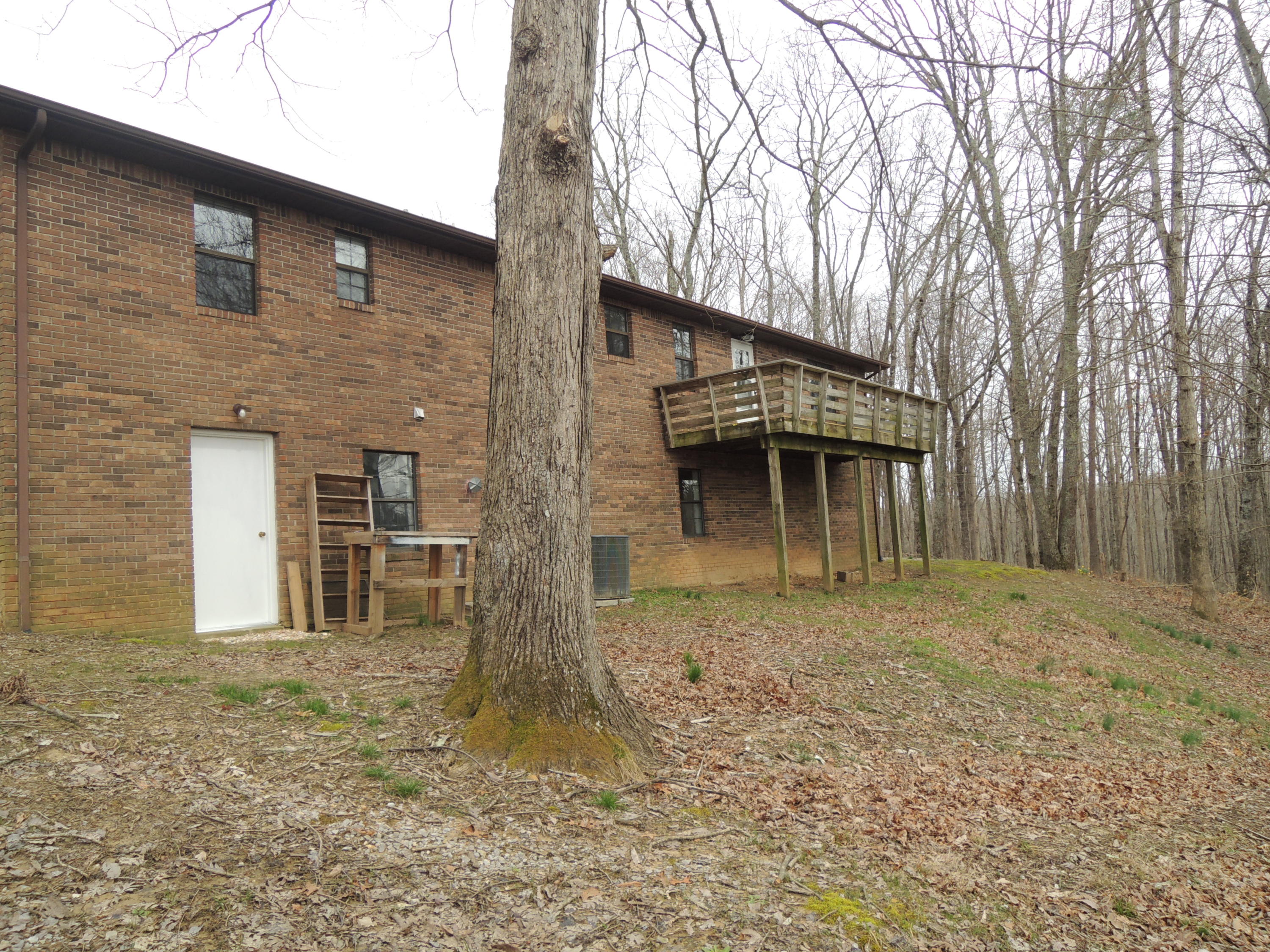 1130 Star Point Road Jamestown, TN 38556 - Photo 7 of 24 Smith