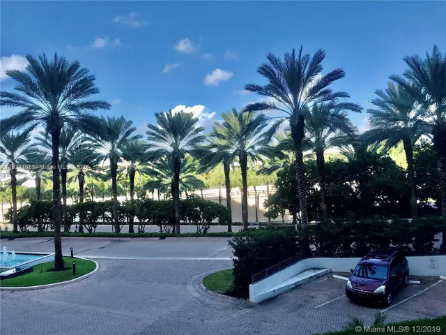 a view of a yard with palm trees