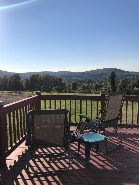 195 Downey Road Otego, NY 13825 - Photo 3 of 49