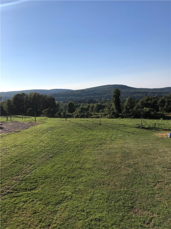 195 Downey Road Otego, NY 13825 - Photo 40 of 49