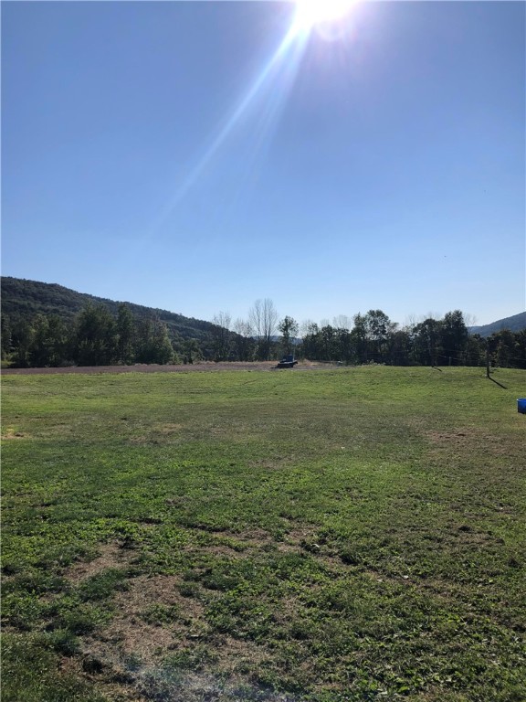 195 Downey Road Otego, NY 13825 - Photo 4 of 49