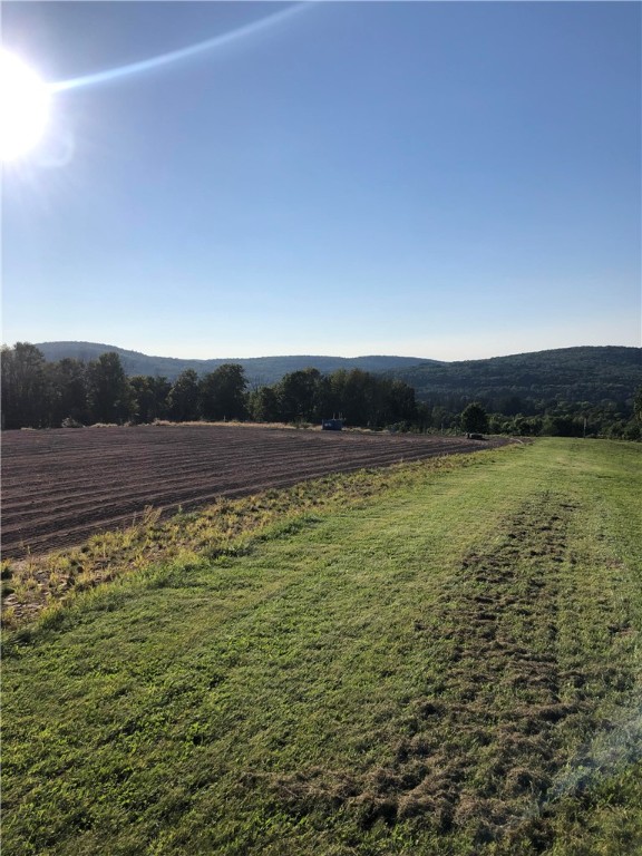 195 Downey Road Otego, NY 13825 - Photo 41 of 49