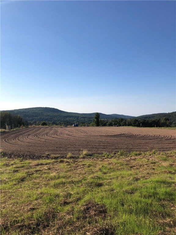 195 Downey Road Otego, NY 13825 - Photo 42 of 49