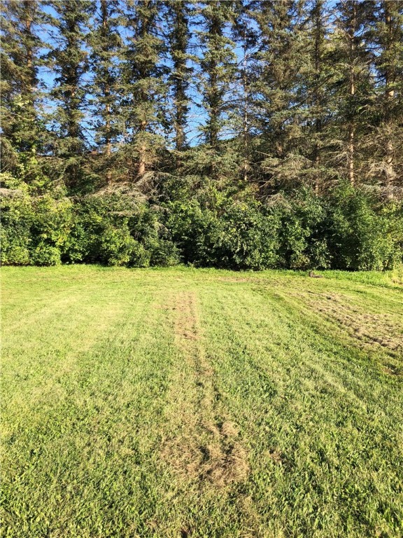 195 Downey Road Otego, NY 13825 - Photo 44 of 49