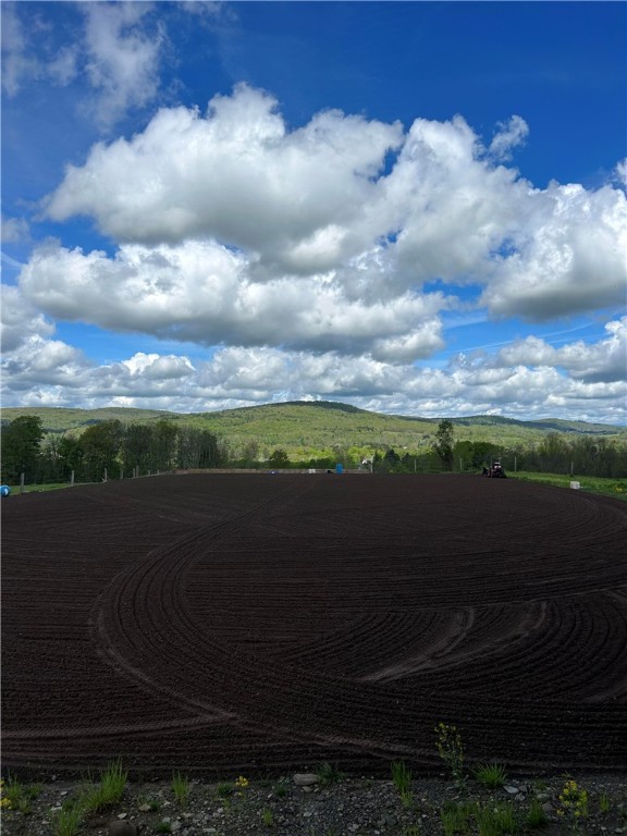 195 Downey Road Otego, NY 13825 - Photo 45 of 49