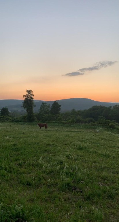 195 Downey Road Otego, NY 13825 - Photo 46 of 49