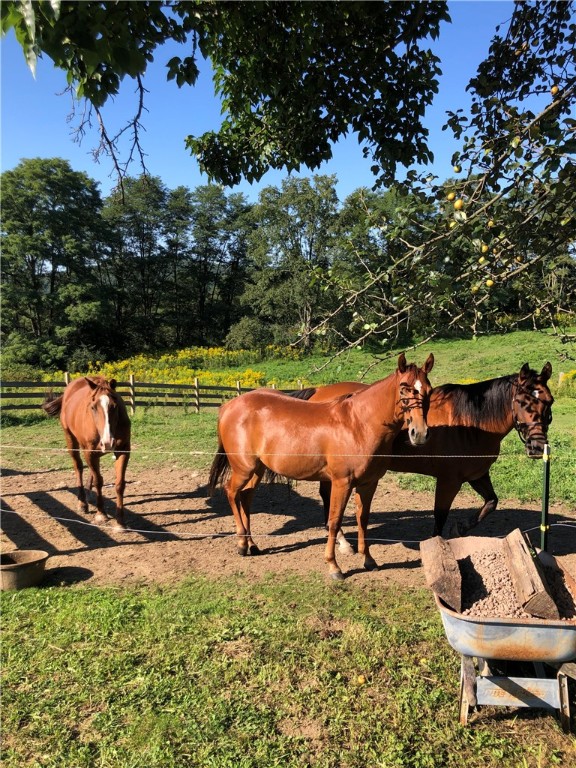 195 Downey Road Otego, NY 13825 - Photo 47 of 49