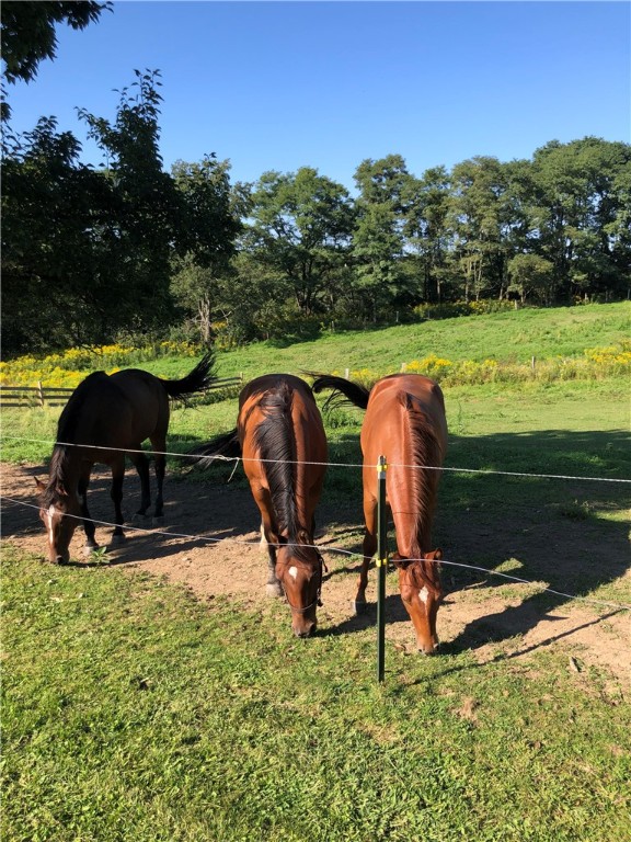 195 Downey Road Otego, NY 13825 - Photo 7 of 49