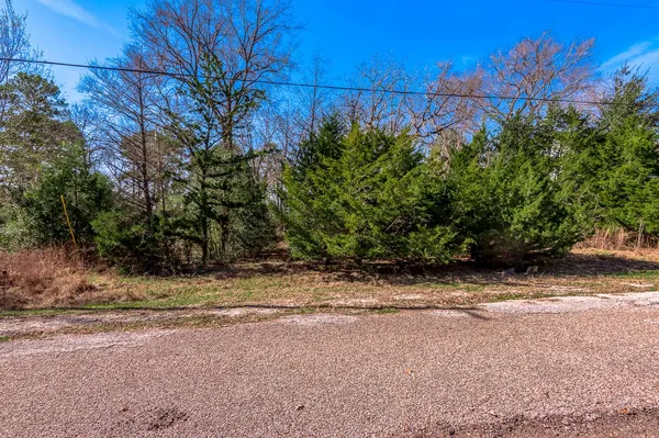 a backyard of a house with lots of plants