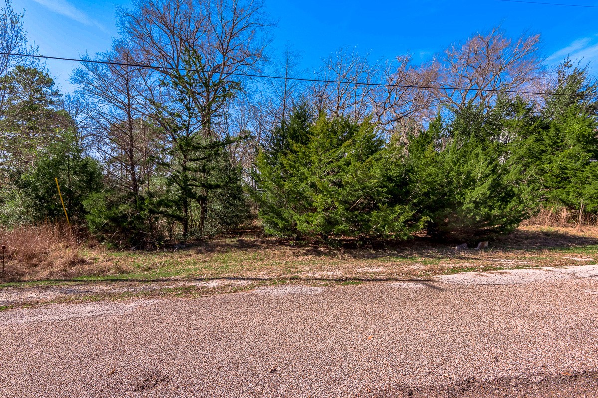 284-285 Arrowhead Lane Huntsville, TX 77320 - Photo 5 of 10