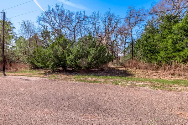 a backyard of a house with lots of trees