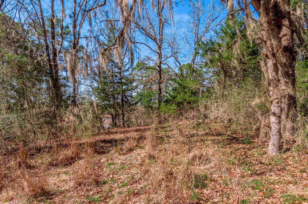 284-285 Arrowhead Lane Huntsville, TX 77320 - Photo 7 of 10