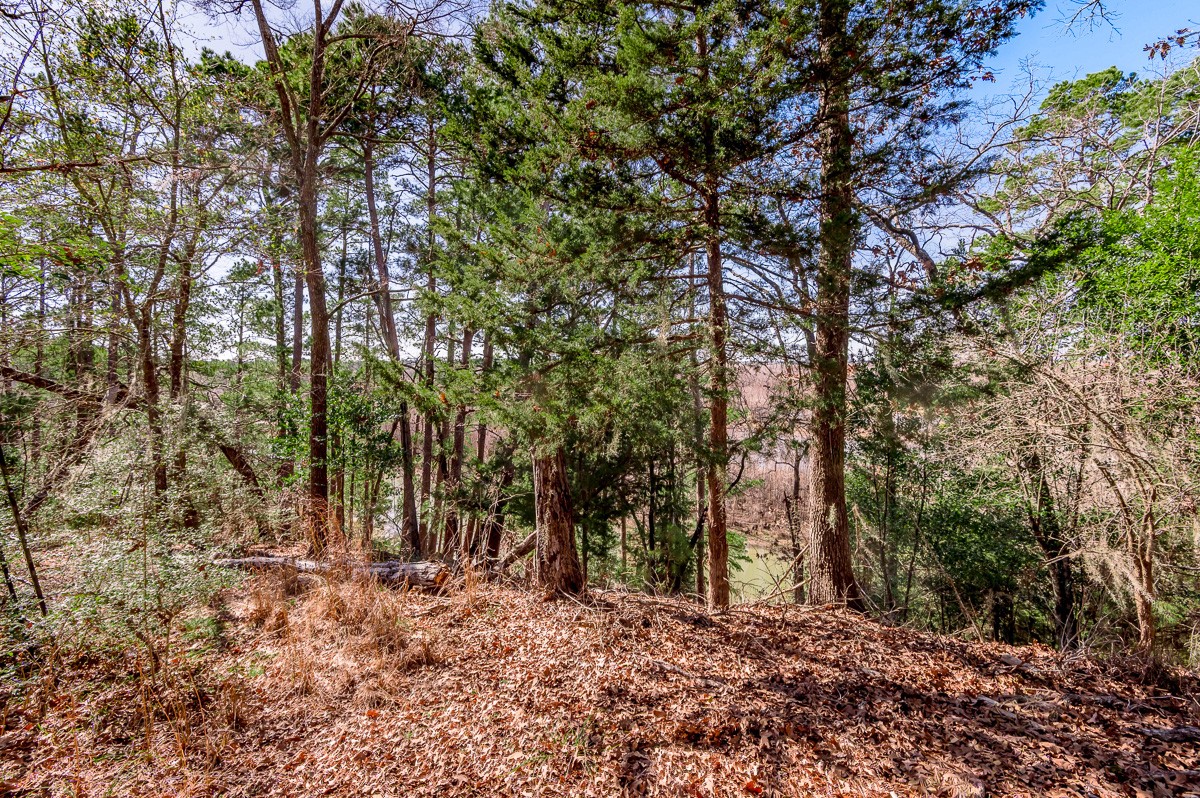 284-285 Arrowhead Lane Huntsville, TX 77320 - Photo 8 of 10