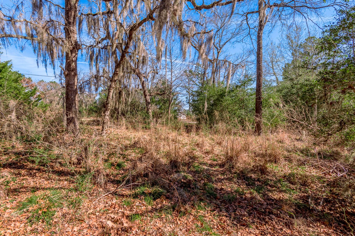 284-285 Arrowhead Lane Huntsville, TX 77320 - Photo 9 of 10