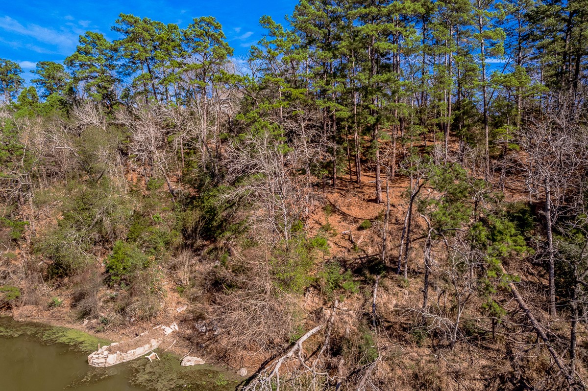 284-285 Arrowhead Lane Huntsville, TX 77320 - Photo 10 of 10