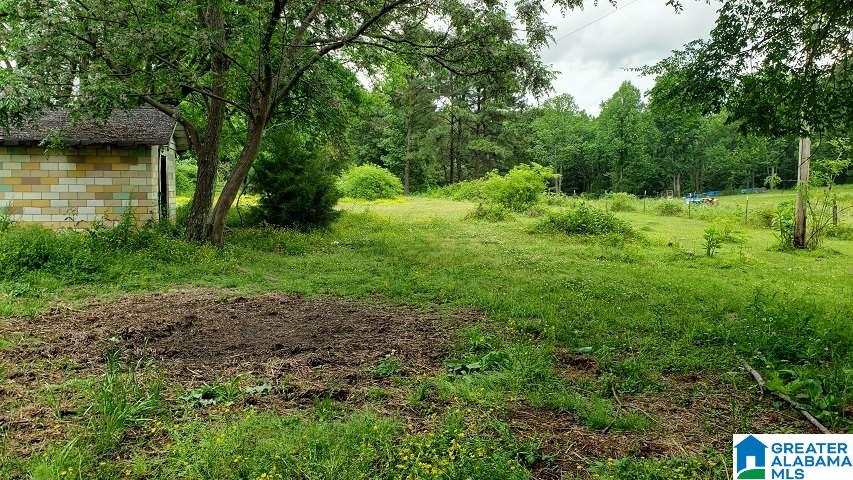 49 Pumpkin Center Cut Off Road Quinton, AL 35130 - Photo 4 of 16