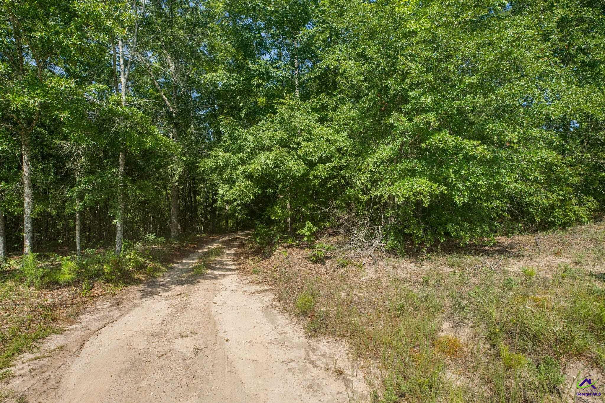 785 Moncrief Road Roberta, GA 31078 - Photo 2 of 29