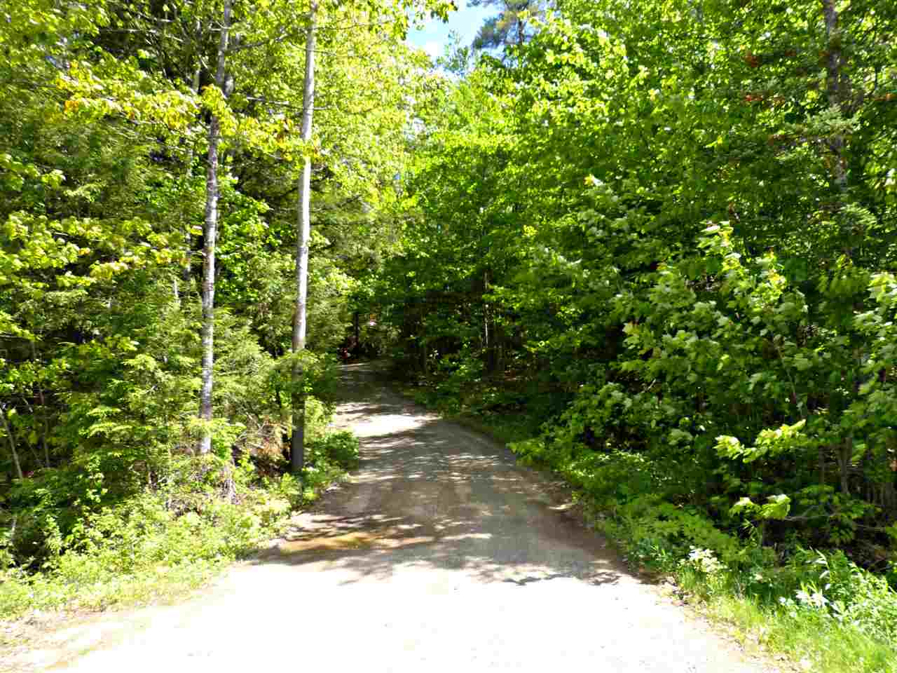 247 North Sandwich Road Sandwich, NH 03227 - Photo 10 of 40