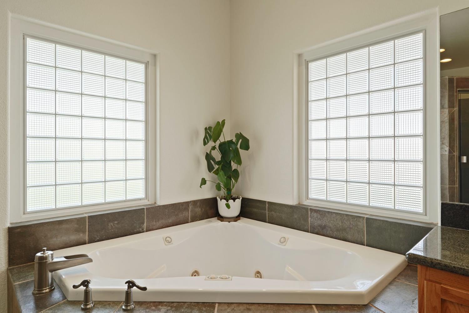 8779 Ospital Road Valley Springs, CA 95252 - Photo 57 of 80 a bath tub sitting in a bathroom next to a window