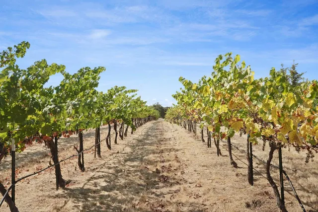 $1,249,000 | 8779 Ospital Road, Valley Springs, CA 95252