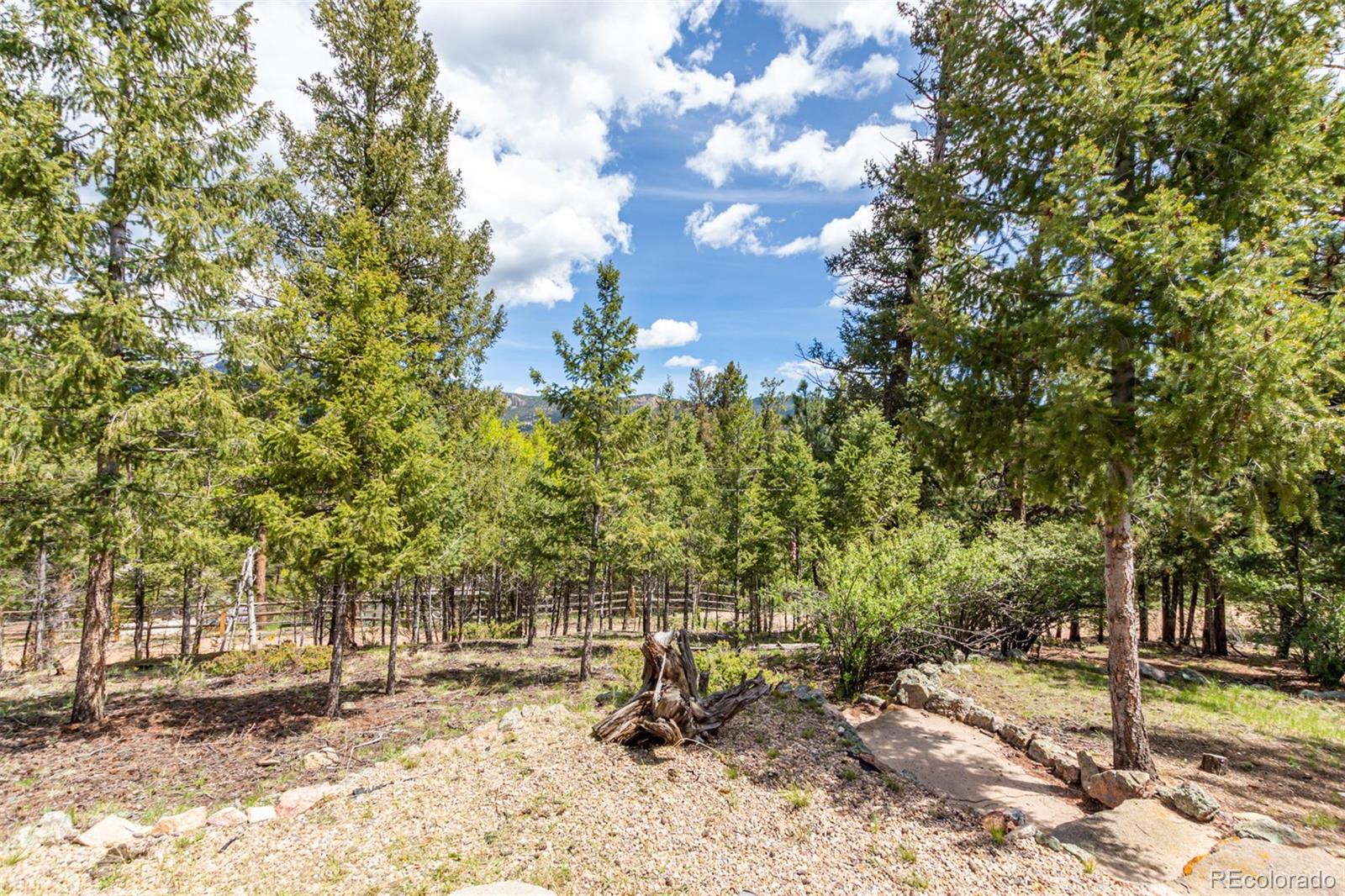 33529 Warren Road Pine, CO 80470 - Photo 33 of 40 Gallery Image 33