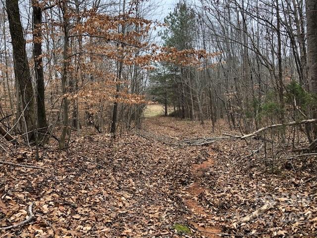 885 Barry Oak Road Cleveland, NC 27013 - Photo 1 of 15 a view of a yard with large trees