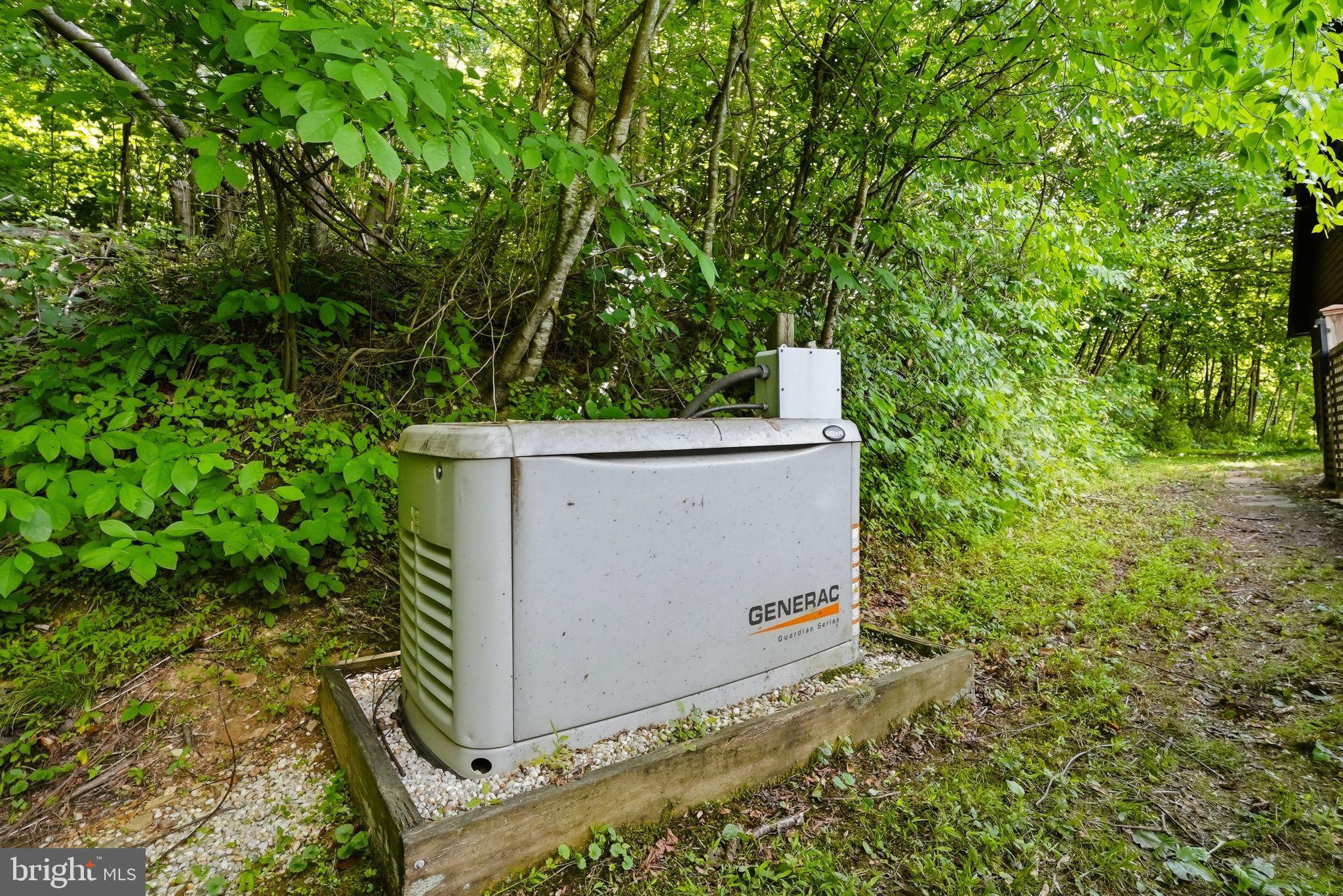 2411 Quaker Run Road Syria, VA 22743 - Photo 42 of 56 Whole House Generator