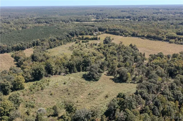 an aerial view of mountain with trees